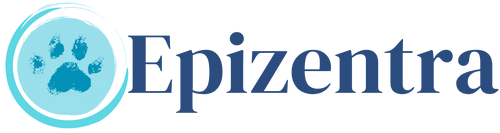 Epizentra